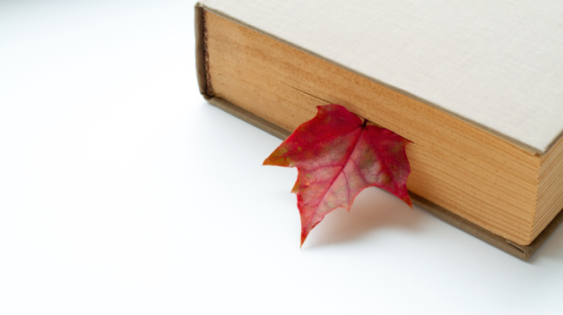 Uzavření Knihovny FHS – státní svátek | FHS Library Closure – Public Holiday